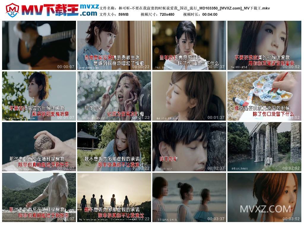 林可昕-不要在我寂寞的时候说爱我_国语_流行_MD103350